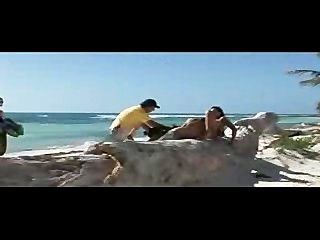 paradise beach 2015