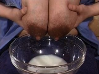 japanese lactation
